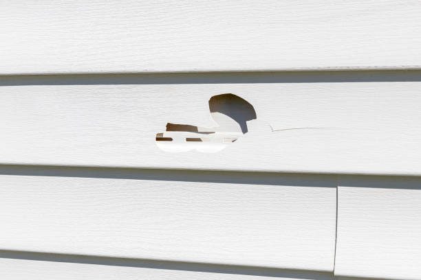 Best Storm Damage Siding Repair  in Monaca, PA